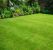 Morningdale Lawn Mowing Services by Clean Slate Landscape & Property Management, LLC